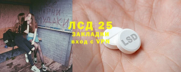твердый Алексин