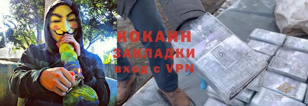 твердый Алексин