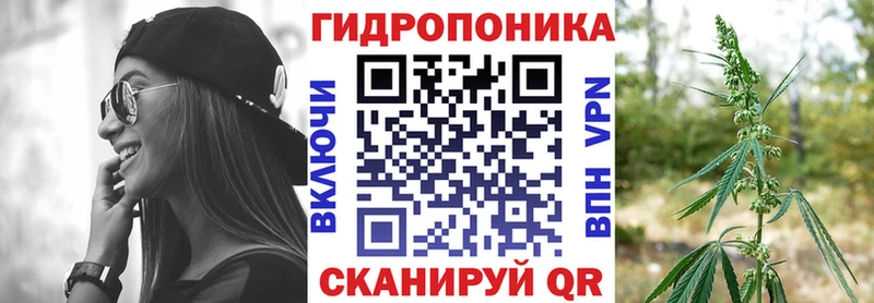 площадка как зайти  Звенигово  Марихуана гибрид  мега ONION 
